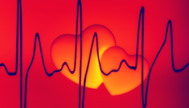 „Teraz serce”- bezpłatne badania kardiologiczne w CH Auchan Modlińska